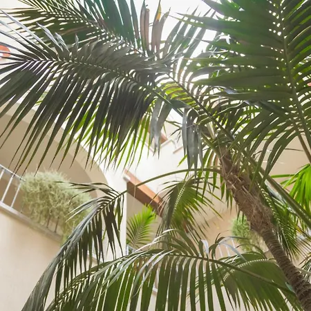 Готель Regina Simius 3*