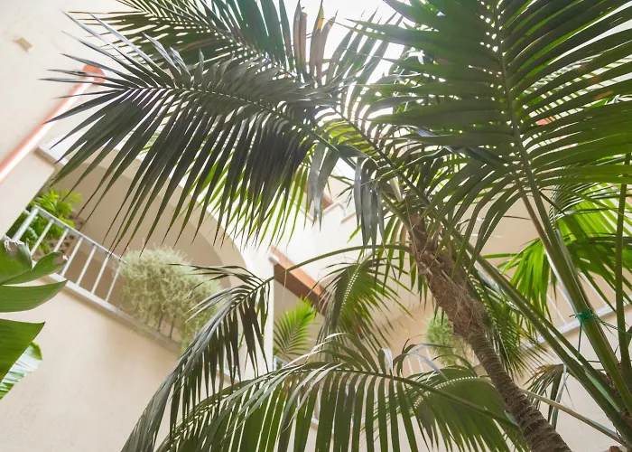 Hotel Regina Simius 3*