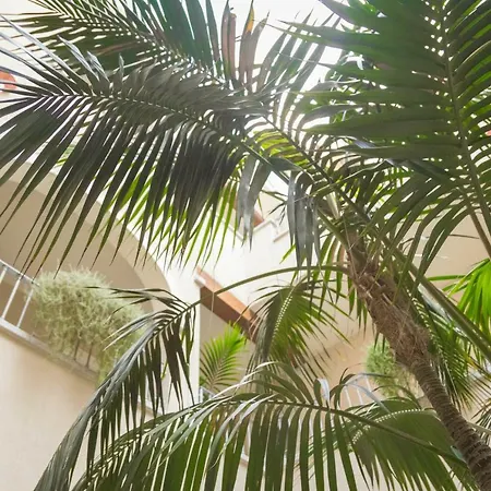 Regina Simius Otel